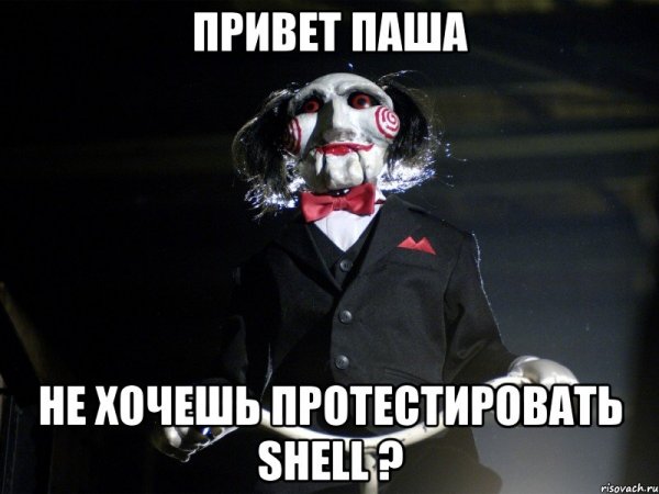 Мемы привет Паша