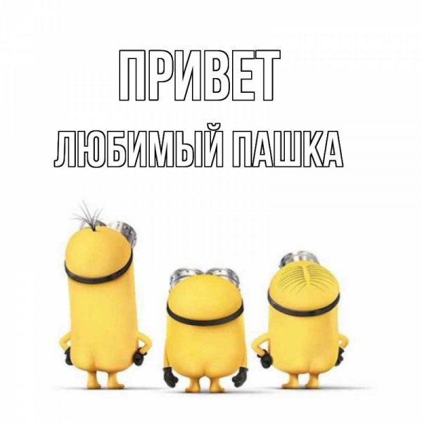 Привет Паша Мем