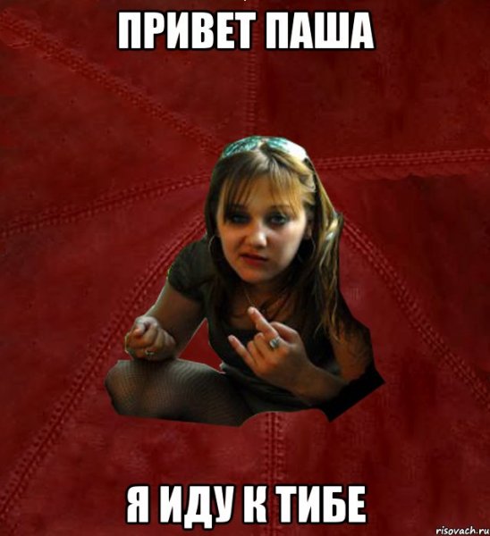Мемы привет Паша
