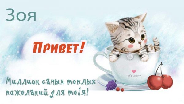 Привет Зоя