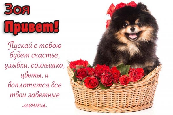 Зоя надпись