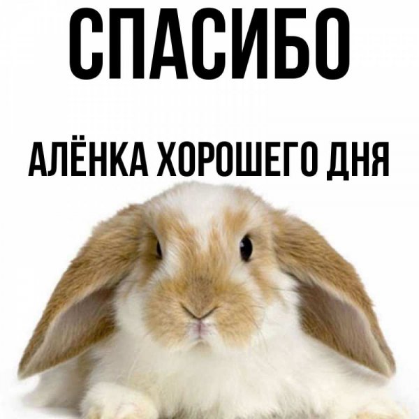 Спасибо хорошего дня