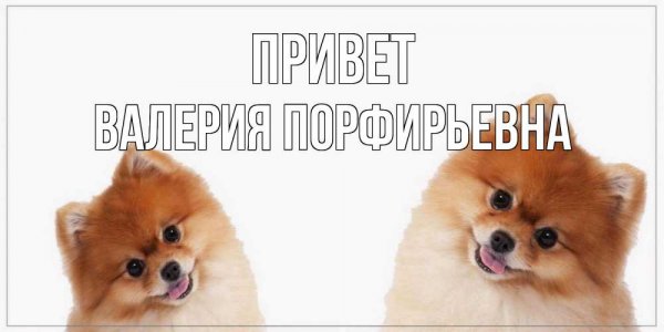 Привет печь привет Адольф