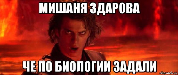 Че по биологии задали