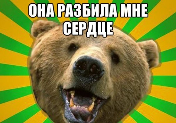 Медведь в горящей машине Мем