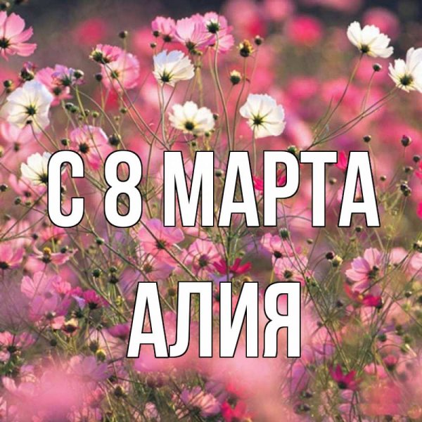 Открытки привет Юля