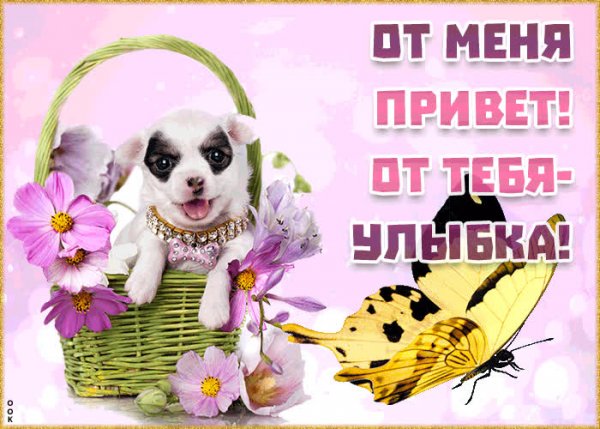 Нелли надпись