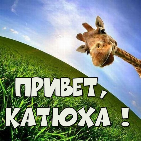 Открытка привет Катюшка