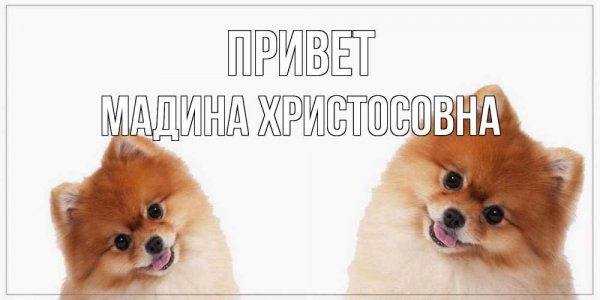 Мадина надпись