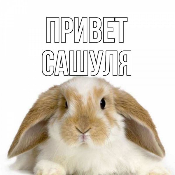 Дай обниму