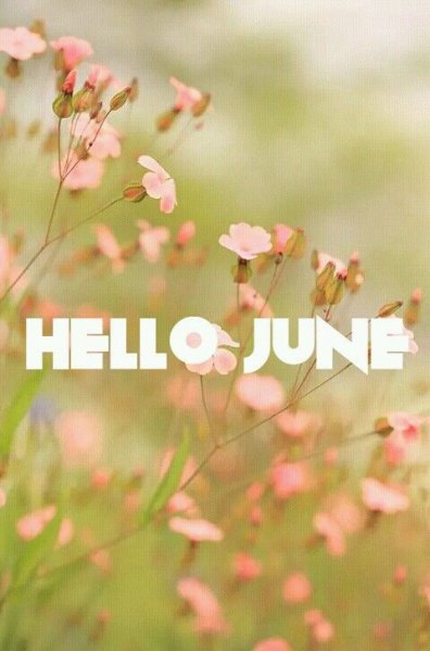 Hello June