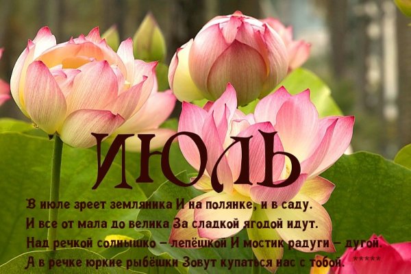 С 1 июля поздравления