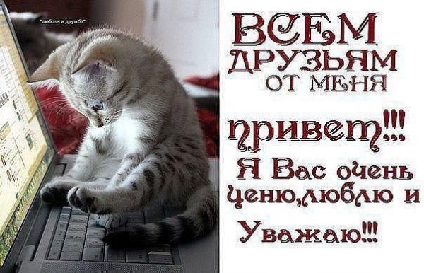 Привет прикол