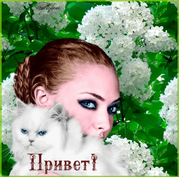 Открытки привет