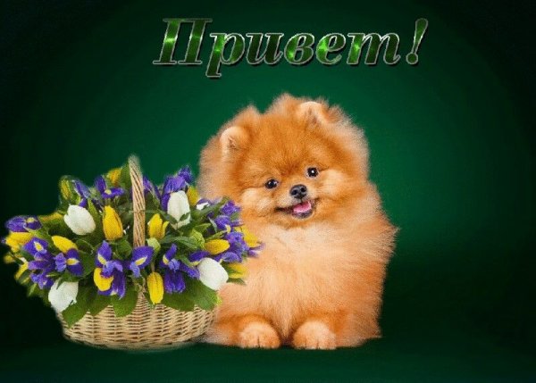 Открытка просто так для улыбки