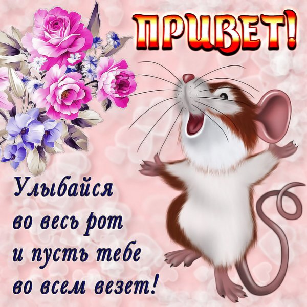 Приветик картинки прикольные