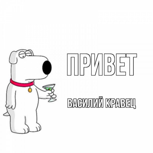 Кот Дамир