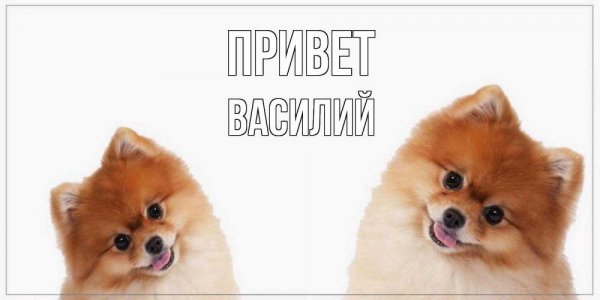 Гвоздь Мем