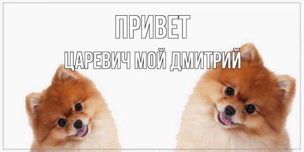 Нагиев физрук здрасте