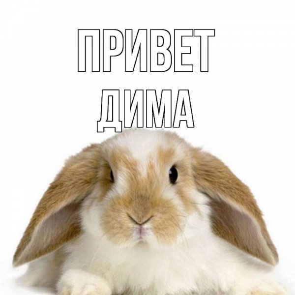Нагиев здрасьте Мем