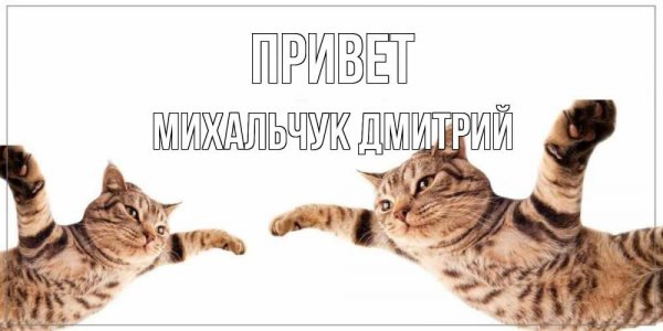 Пошли пожрем