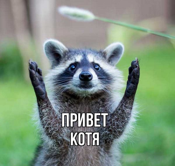 Я скучаю по тебе Дима
