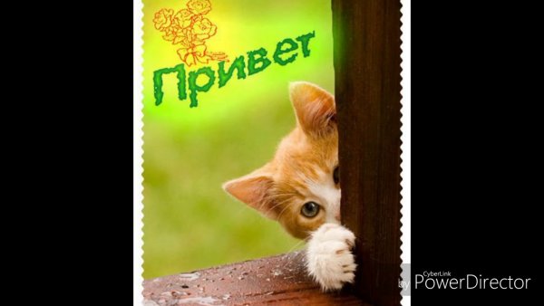 Добрый день Сережа