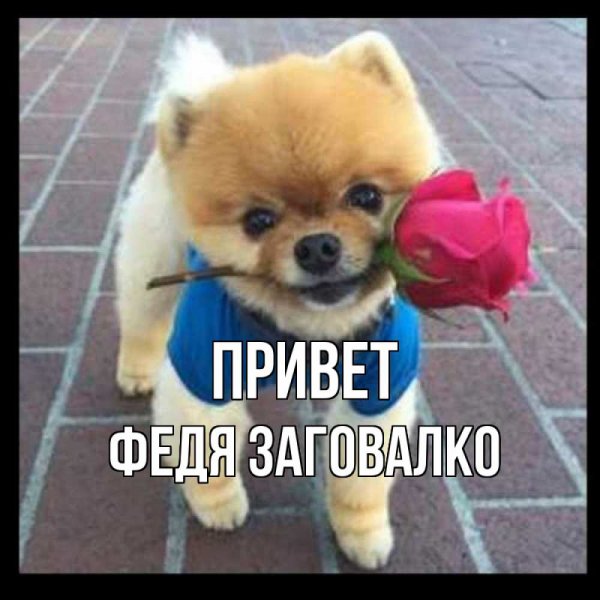 Федя привет