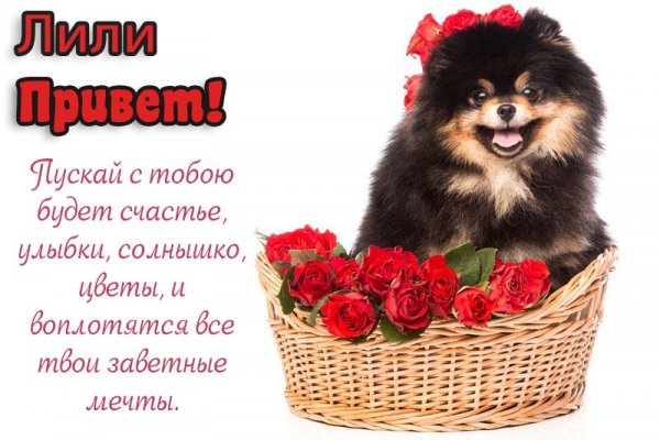 Мерцающие лилии