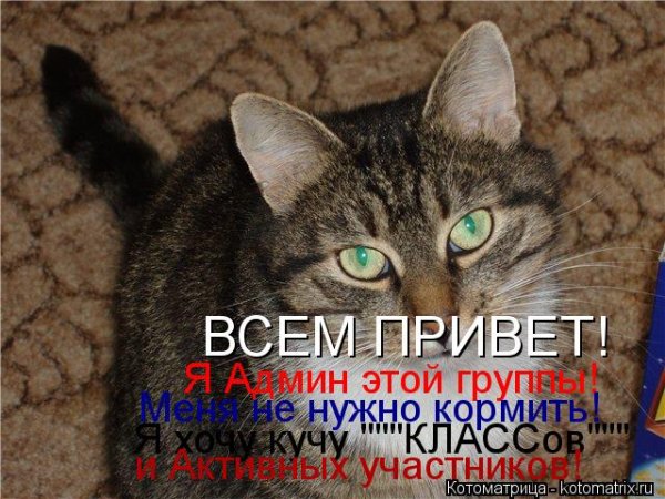 Спасибо админу группы