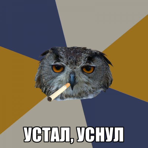 Сова Мем