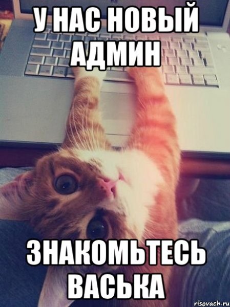 Новый админ