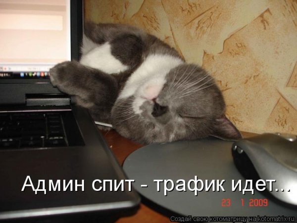 Сисадмин спит