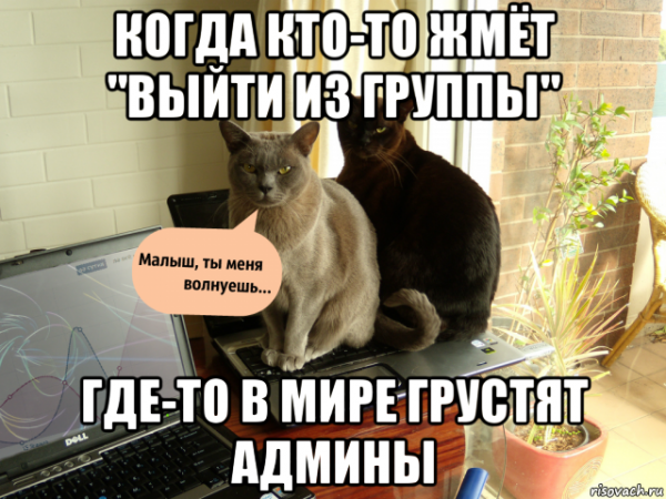 Мемы про админа группы