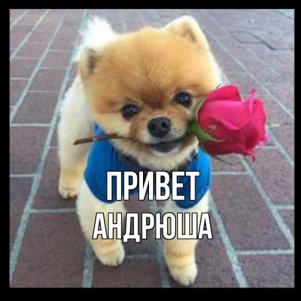 Я Андрей Мем