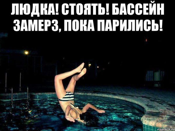 Собака падает в бассейн Мем