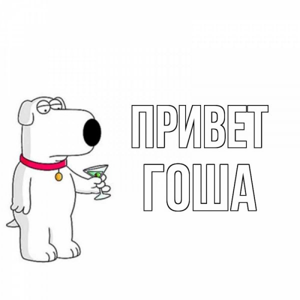 Гоша ТВНУБ Мем