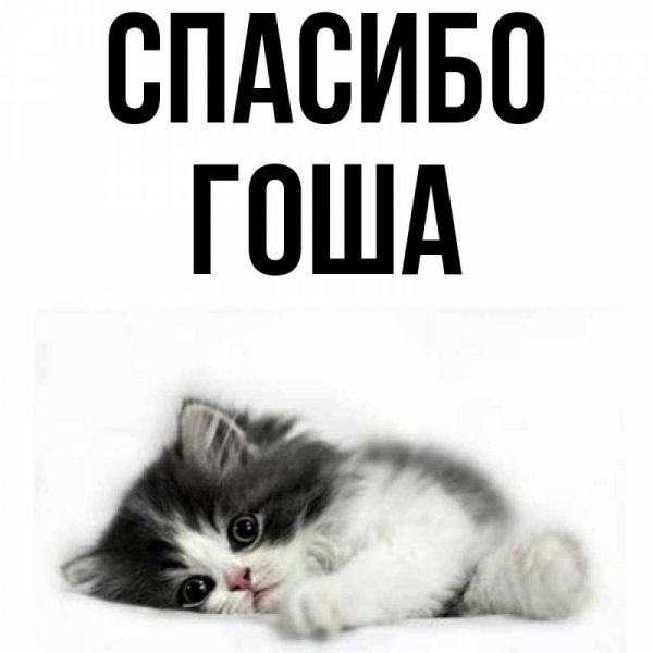 Малика надпись