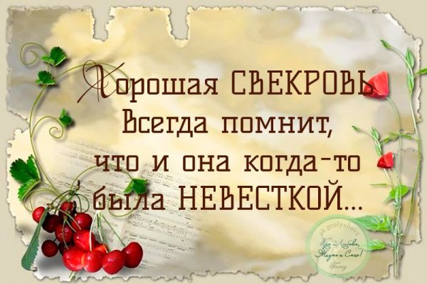 Цитаты про свекровь