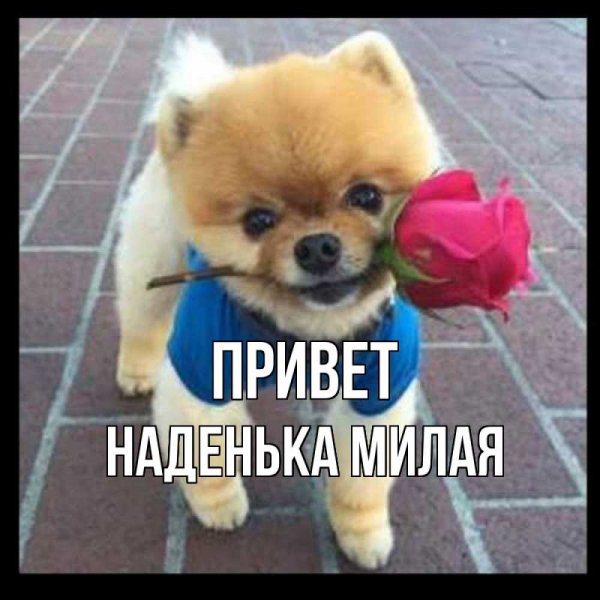 Доброе утро Иришка