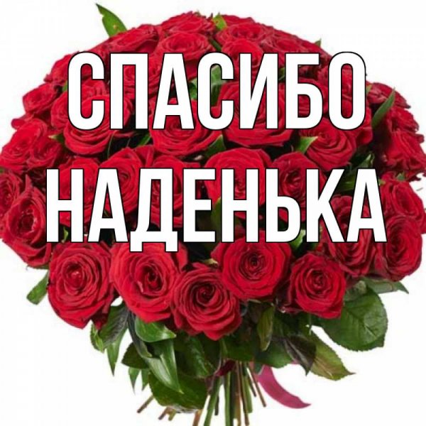Приколы про Надю