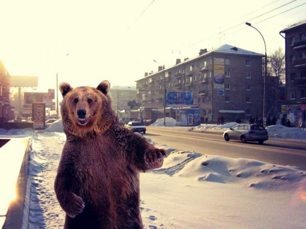 Заполярье Мурманск