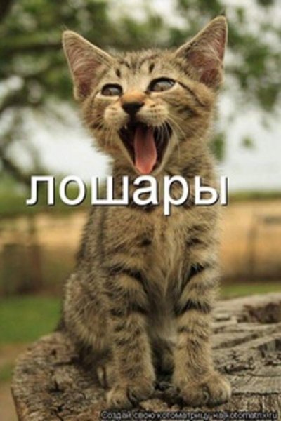 Я лошара картинки