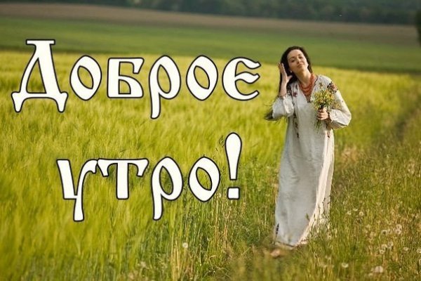 Путин политик Лидер и борец