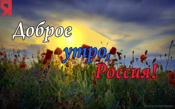 Дети солнца