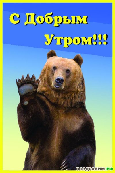 Молодежь за Путина