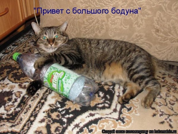 Привет с большого бодуна приколы
