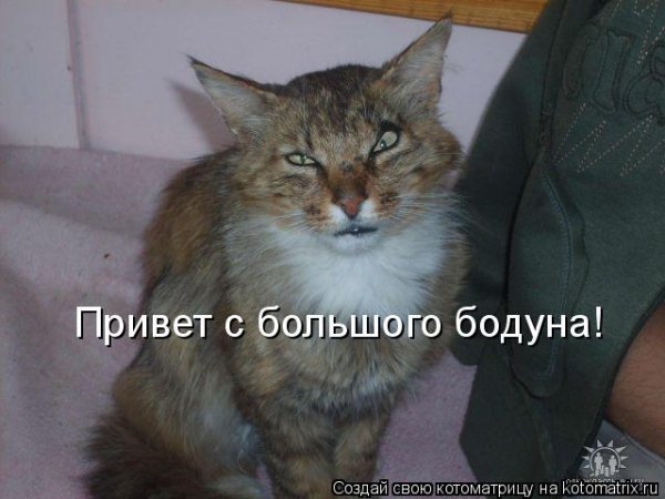Привет с большого бодуна приколы