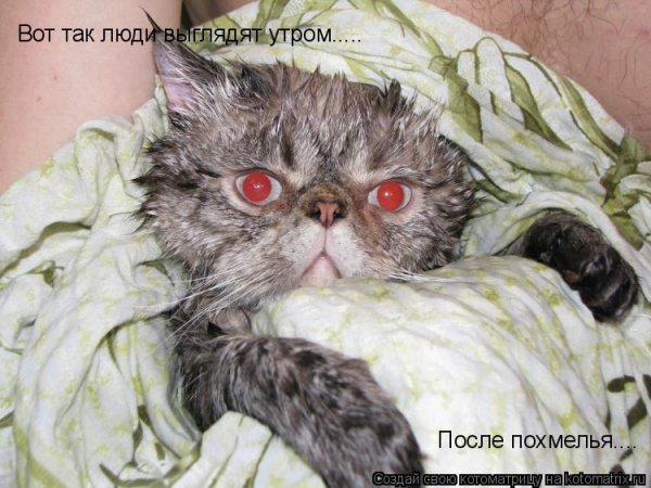 После бодуна