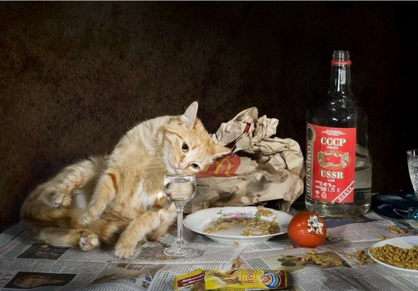 Коты и водка в живописи